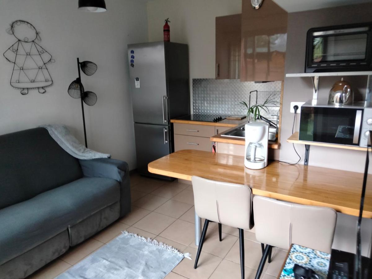 Appartement T2 Sur Cour Nantaise 雷泽 外观 照片
